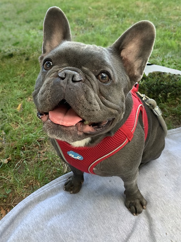 Rupert photo