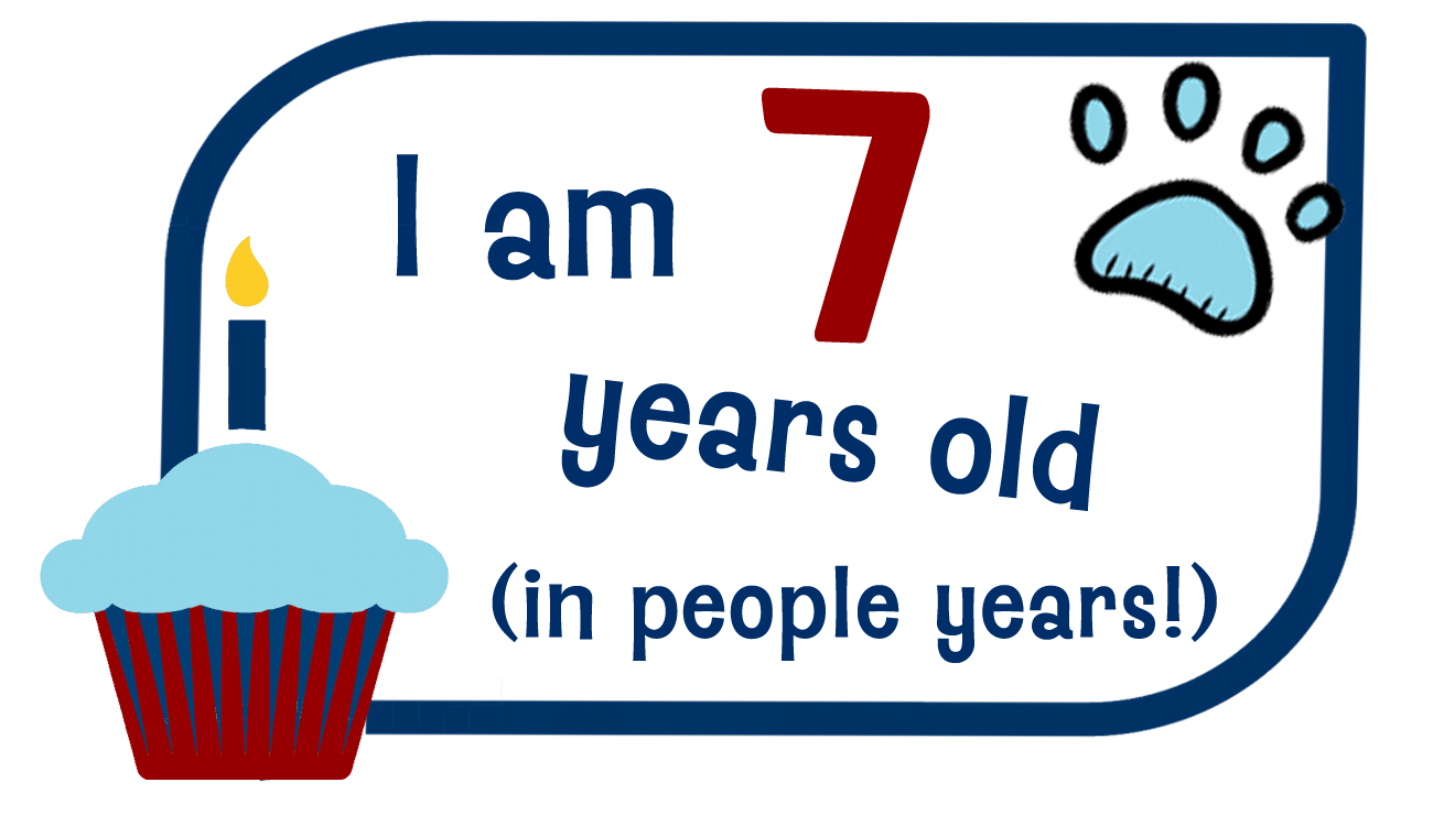 Birthday image