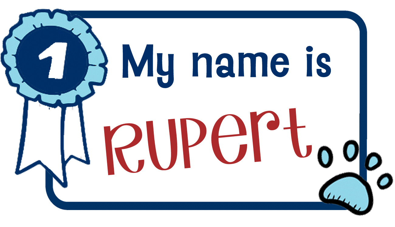 Rupert name image